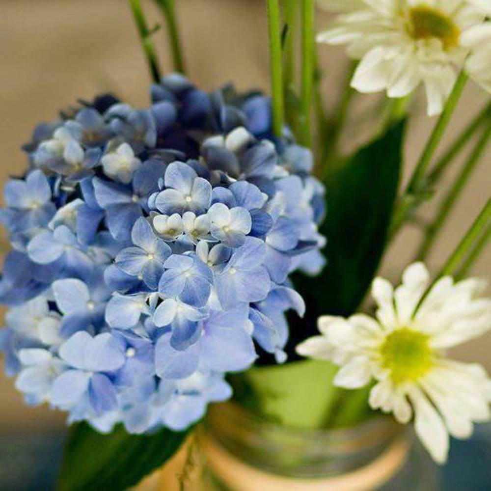 Meet your Posher, Jan